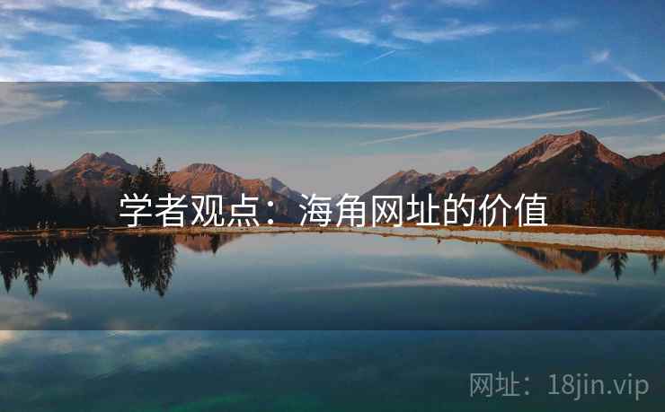 学者观点：海角网址的价值