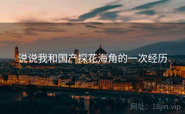 说说我和国产探花海角的一次经历