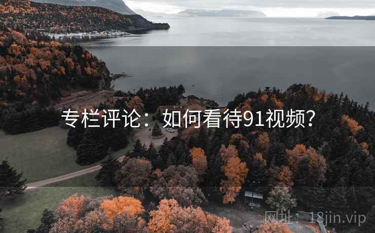 专栏评论：如何看待91视频？