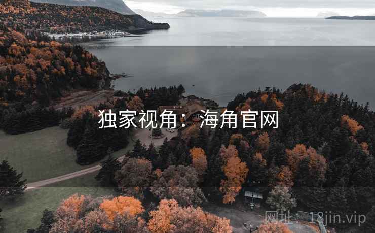 独家视角：海角官网