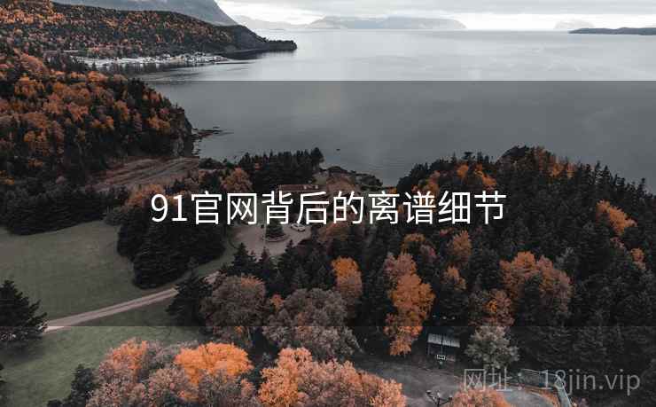 91官网背后的离谱细节 91官网背后的离谱细节