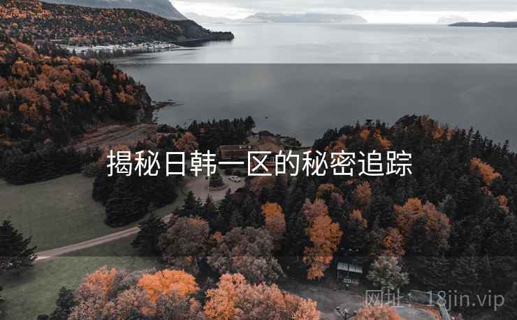 揭秘日韩一区的秘密追踪