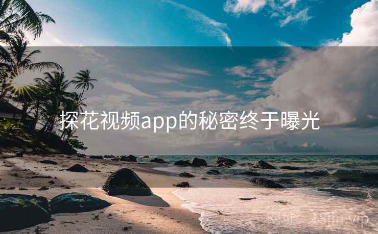 探花视频app的秘密终于曝光